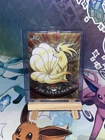 Ninetales