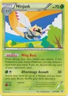 Ninjask