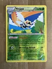 Ninjask