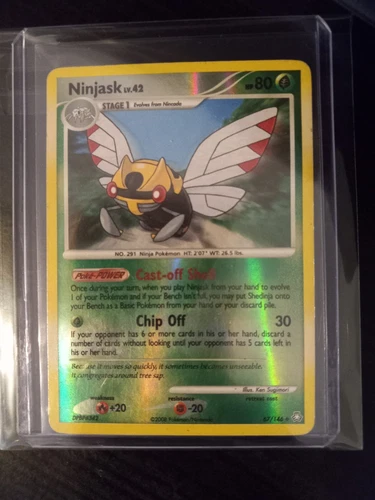 Ninjask