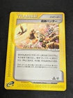 Relic Hunter