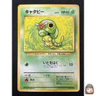 Caterpie