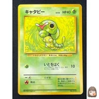 Caterpie