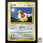 Pidgey