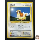Pidgey
