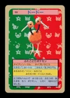 Magneton