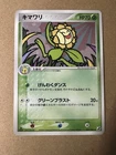 Sunflora