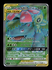 Celebi & Venusaur GX