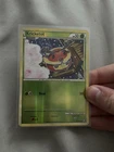Kricketot