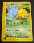 Sunflora