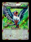 Swellow