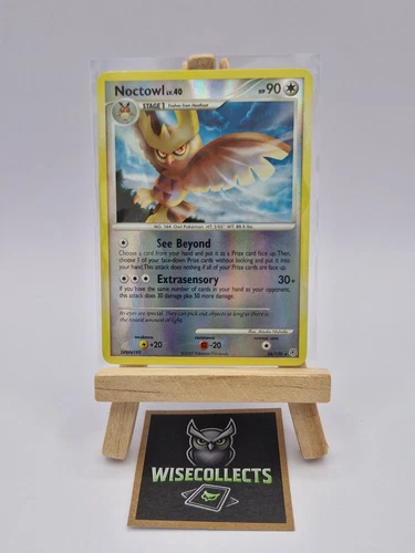 Noctowl