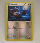 Noibat