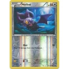 Noibat