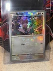 Noibat