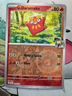 Darumaka