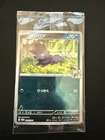 N's Zorua