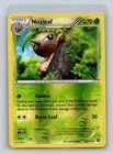 Nuzleaf