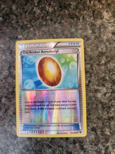 Old Amber Aerodactyl