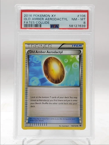 Old Amber Aerodactyl