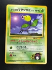 Erika's Bellsprout
