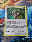 Oranguru