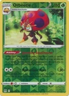 Orbeetle