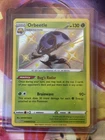 Orbeetle