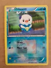 Oshawott