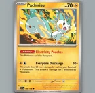 Pachirisu