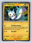 Pachirisu