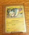 Pachirisu