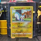 Pachirisu