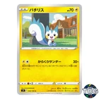 Pachirisu