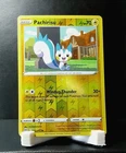 Pachirisu