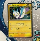 Pachirisu