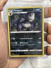Pangoro