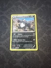 Pangoro