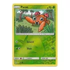 Paras