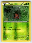 Paras