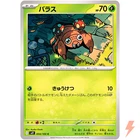 Paras