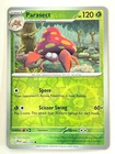 Paras