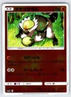 Passimian