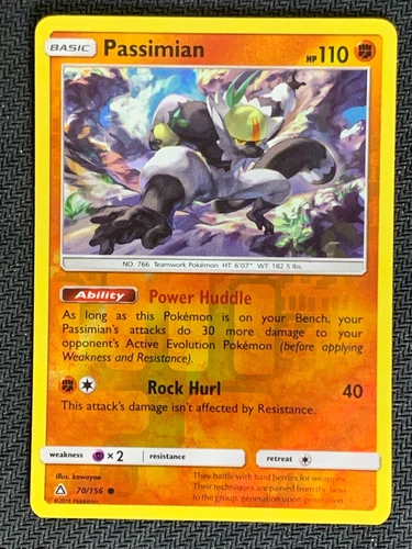 Passimian