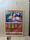 Passimian