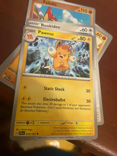 Pawmo