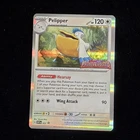 Pelipper
