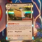 Pelipper