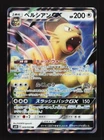 Persian GX