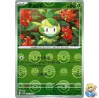 Pachirisu